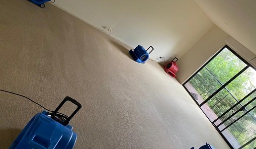 Sydney Flood Drying Services